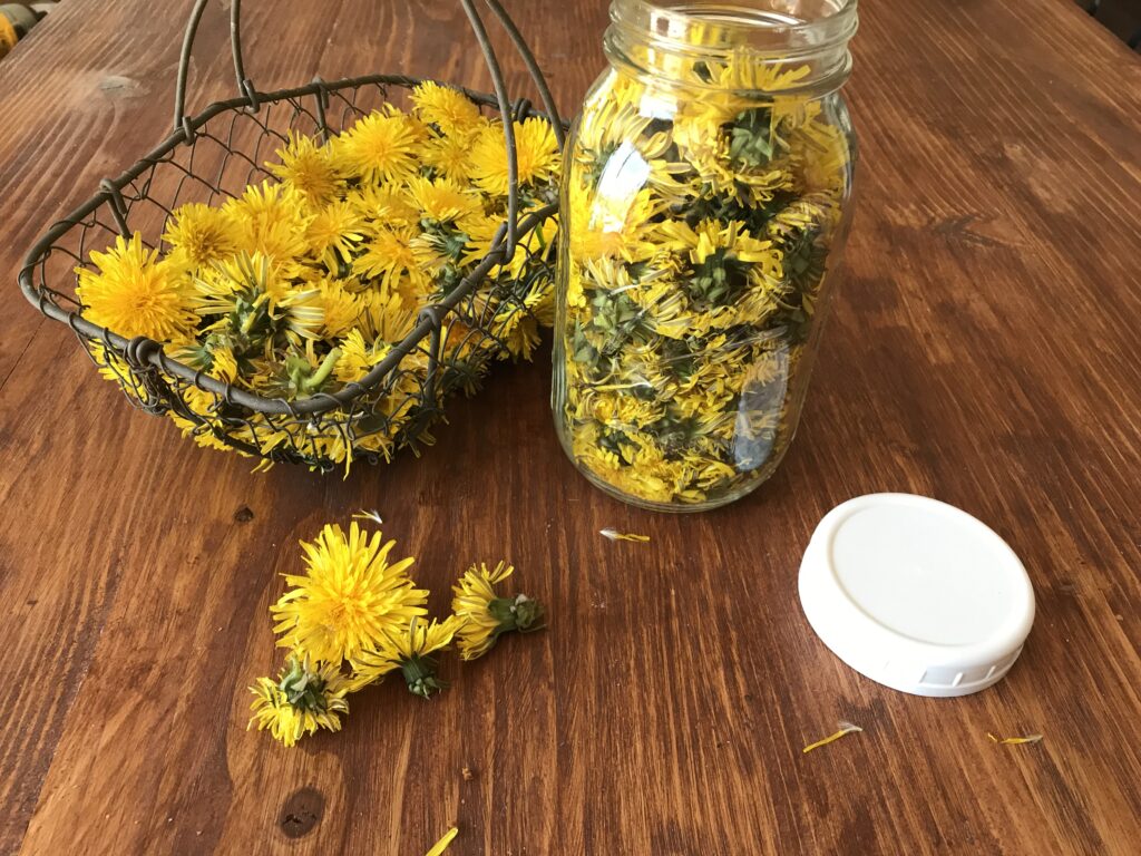 Sweet and Floral Dandelion Vinegar - The Salt Box