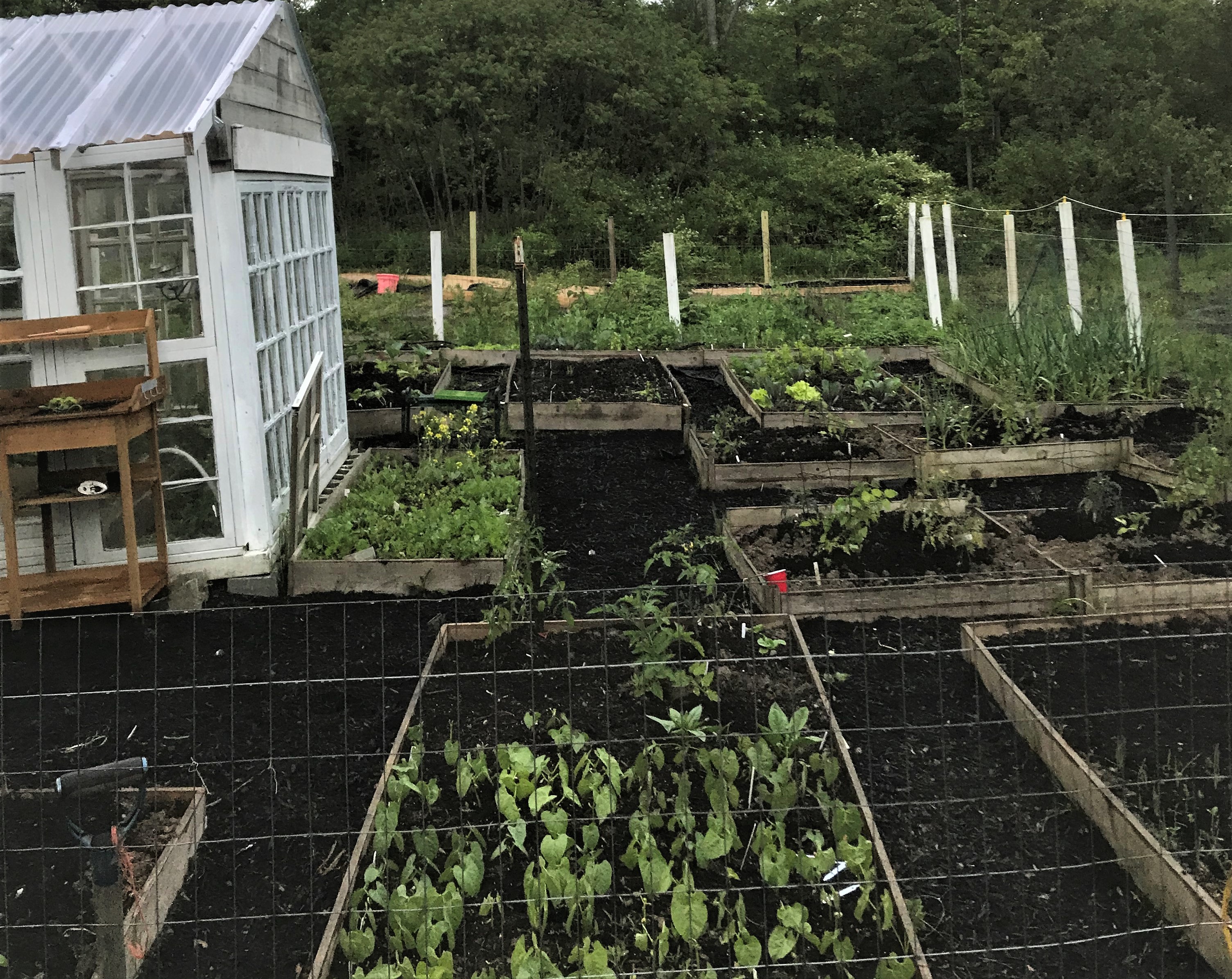 Why I Stopped Using Raised Garden Beds - The Seasonal Homestead